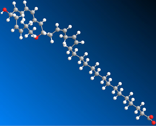 ELV 3D Structure of molecules
